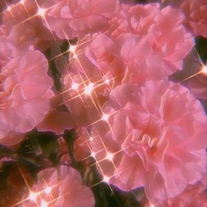 Meet your Posher, Bob